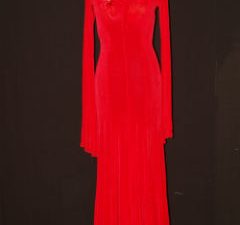 Red Smooth Dress/Stoned Collar